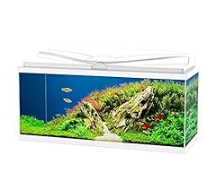 Ciano aquarium acquario usato  Spedito ovunque in Italia 
