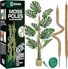 Brands lot piquets d'occasion  Livré partout en France