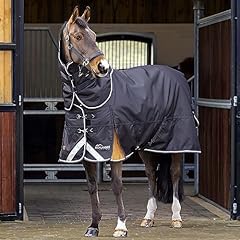 Shires highlander 200 d'occasion  Livré partout en Belgiqu