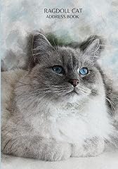 Ragdoll cat address for sale  Delivered anywhere in UK