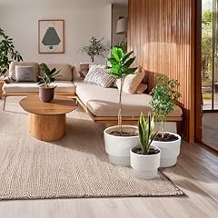 Galt international set for sale  Delivered anywhere in USA 