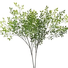 Dremisland lot plante d'occasion  Livré partout en Belgiqu