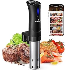 Blitzhome sous vide for sale  Delivered anywhere in USA 