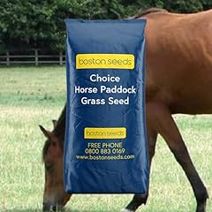 Paddock grass seed for sale  Delivered anywhere in UK