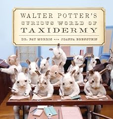 Walter potter curious for sale  Delivered anywhere in USA 