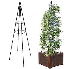 Apsoonsell garden obelisk for sale  Delivered anywhere in USA 