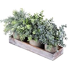 Set mini potted for sale  Delivered anywhere in USA 