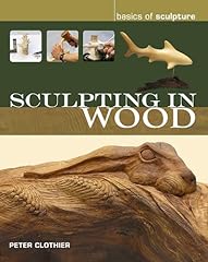 Sculpting wood basics for sale  Delivered anywhere in Ireland
