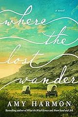 Lost wander novel for sale  Delivered anywhere in USA 