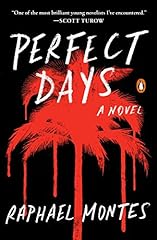 Perfect days novel for sale  Delivered anywhere in USA 
