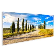 Islandburner quadro tela usato  Spedito ovunque in Italia 