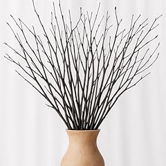 Birch twigs decorative for sale  Delivered anywhere in USA 