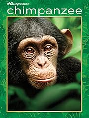 Chimpanzee for sale  Delivered anywhere in UK