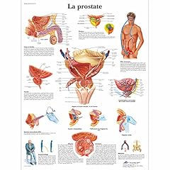 Scientific vr2528l modèle d'occasion  Livré partout en France
