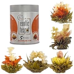 Exotic teapot flowering for sale  Delivered anywhere in UK