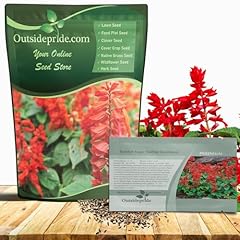 Outsidepride salvia coccinea for sale  Delivered anywhere in USA 