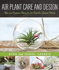 Air plant care for sale  Delivered anywhere in USA 
