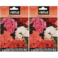 Batlle geranium zonale d'occasion  Livré partout en France