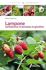 Lampone sul balcone usato  Spedito ovunque in Italia 