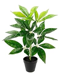 Plante feuilles artificielles d'occasion  Livré partout en France