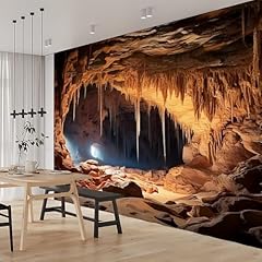 Vlies fototapete höhle gebraucht kaufen Vlies fototapete höhle gebraucht kaufen  Wird an jeden Ort in Deutschland