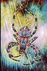 Spider let second for sale  Delivered anywhere in UK