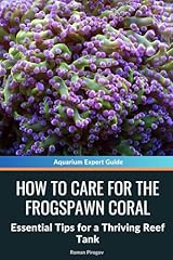 Care frogspawn coral for sale  Delivered anywhere in USA 