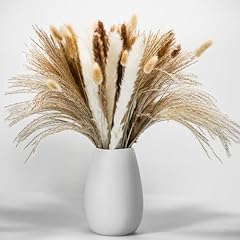 100 pcs pampas for sale  Delivered anywhere in USA 