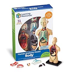 Learning resources human for sale  Delivered anywhere in USA 