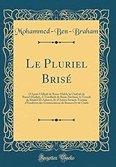 Pluriel brisé après gebraucht kaufen  Wird an jeden Ort in Deutschland