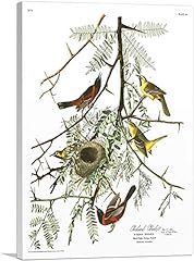 Artcanvas orchard oriole for sale  Delivered anywhere in USA 