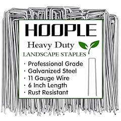 Hoople 100 pack for sale  Delivered anywhere in USA 