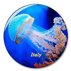Italia acquario genova usato  Spedito ovunque in Italia 