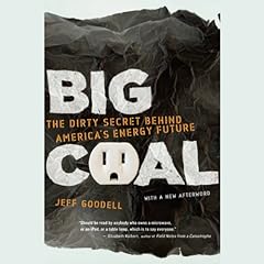Big coal dirty for sale  Delivered anywhere in USA 