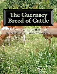 Guernsey breed cattle for sale  Delivered anywhere in USA 