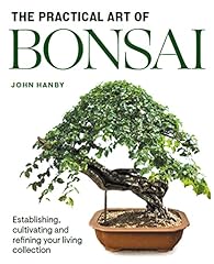Practical art bonsai for sale  Delivered anywhere in UK