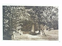 Postkarte helmstedt adam gebraucht kaufen  Wird an jeden Ort in Deutschland