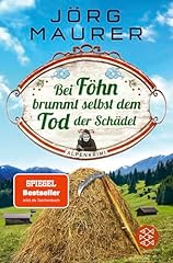 Föhn brummt dem gebraucht kaufen  Wird an jeden Ort in Deutschland