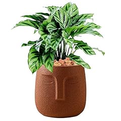 Liphontcta terracotta plant for sale  Delivered anywhere in USA 
