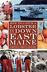 Catch lobster downeast for sale  Delivered anywhere in USA 