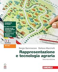 Rappresentazione tecnologia ag usato  Spedito ovunque in Italia 