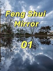 Feng shui mirror gebraucht kaufen  Wird an jeden Ort in Deutschland