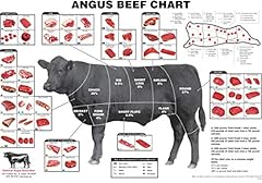 Iconic arts angus for sale  Delivered anywhere in USA 