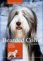 Bearded collie charakter d'occasion  Livré partout en France
