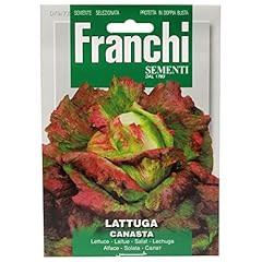 Seeds italy ltd for sale  Delivered anywhere in UK
