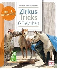 Zirkus tricks freiarbeit gebraucht kaufen  Wird an jeden Ort in Deutschland