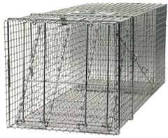Havahart cage trap for sale  Delivered anywhere in USA 