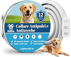 Nanoxa collare antiparassitari usato  Spedito ovunque in Italia 