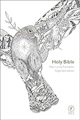 Nlt holy bible for sale  Delivered anywhere in UK