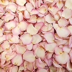 Petals roses freeze for sale  Delivered anywhere in UK